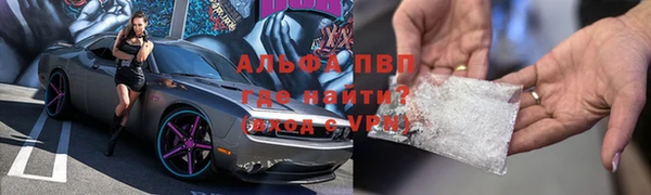 прущие грибы Краснослободск