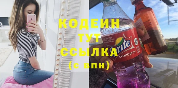 прущие грибы Краснослободск