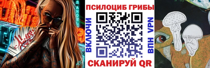 Псилоцибиновые грибы Psilocybine cubensis  Купить  Осташков 