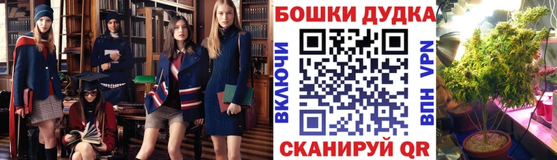 Каннабис индика  Купить закладки  Осташков 
